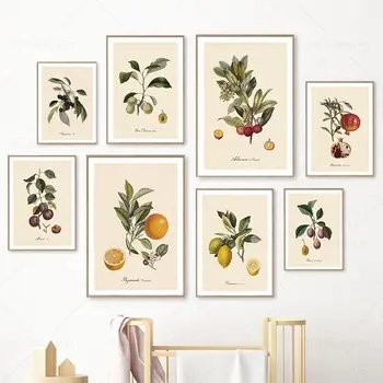 Ретро Ботанические фрукты, Лимон, чернослив, Апельсин, Винтажные плакаты и принты, настенное искусство, живопись на холсте, настенные панно, украшение кухни